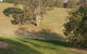 Charolais Cottage - thumb 4