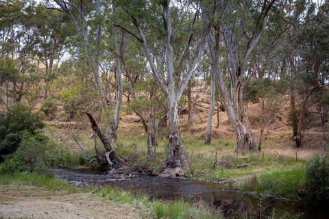 CHARTER FARM - FIND YOUR HAPPY HAMLET - Darwin Holiday 3