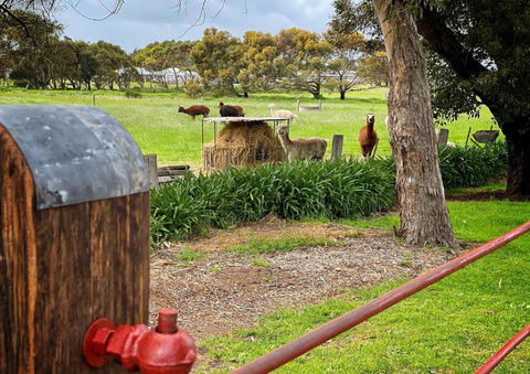 Cherry Plum Cottages - Darwin Holiday 4