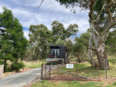 Cherry Tree - Merigan Farm Stay - Darwin Holiday 0