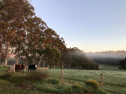 Cherswood Farm - Darwin Holiday 3