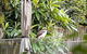 Chic Single Room - Convenient Spot At Pymble - Shared Bathroom - thumb 2