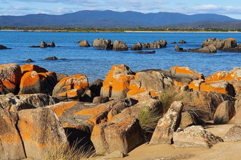 CHILL - Darwin Holiday 1