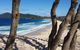 CHILL-OUT BEACH HOUSE - One Mile Beach - thumb 3