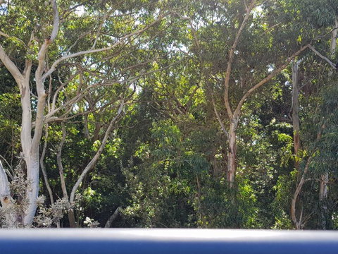 CHILL-OUT BEACHSIDE - Main Beach Forster - Darwin Holiday 1