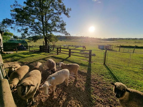 Clandulla Cottages & Farmstay - Darwin Holiday 1