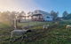 Clandulla Cottages & Farmstay - thumb 2