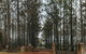 Clover Cottage Country Retreat - thumb 1