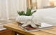Coastal Bondi Beach House - Incredible Location - thumb 3