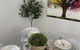 Coastal Luxe On Hastings St - 2 Bedroom - thumb 2