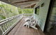 Coconut Cottage Bush Retreat- Pet Friendly - thumb 4