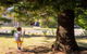 Collingwood Beach Cottage - Belle Escapes Jervis Bay - thumb 0