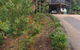 Daintree Holiday Homes - Yurara - thumb 1