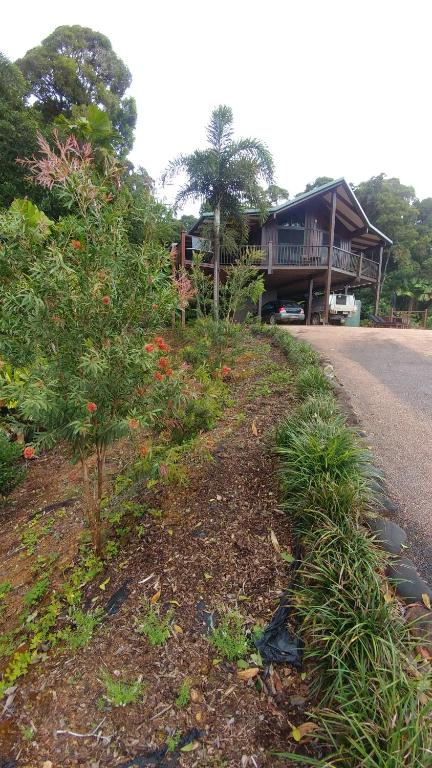 Daintree Holiday Homes - Yurara - Darwin Holiday 1