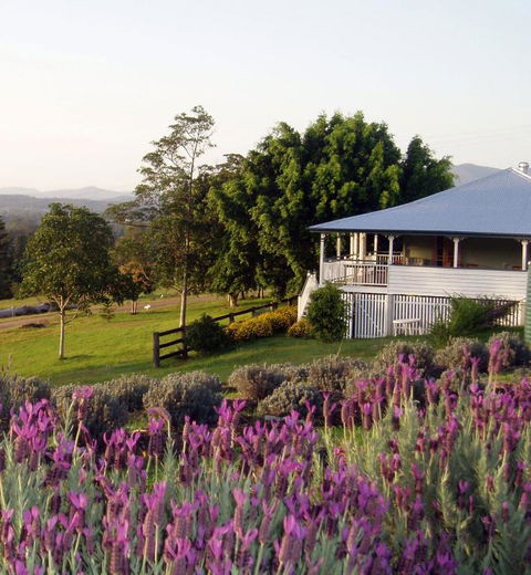 Dayboro - Blue Ridge Lavender Cottage - Darwin Holiday 4