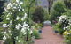 Delderfield Villas - thumb 4