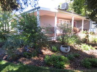 Book Irymple Accommodation Vacations Darwin Holiday Darwin Holiday
