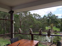 Book Upper Coomera Accommodation Vacations Darwin Holiday Darwin Holiday