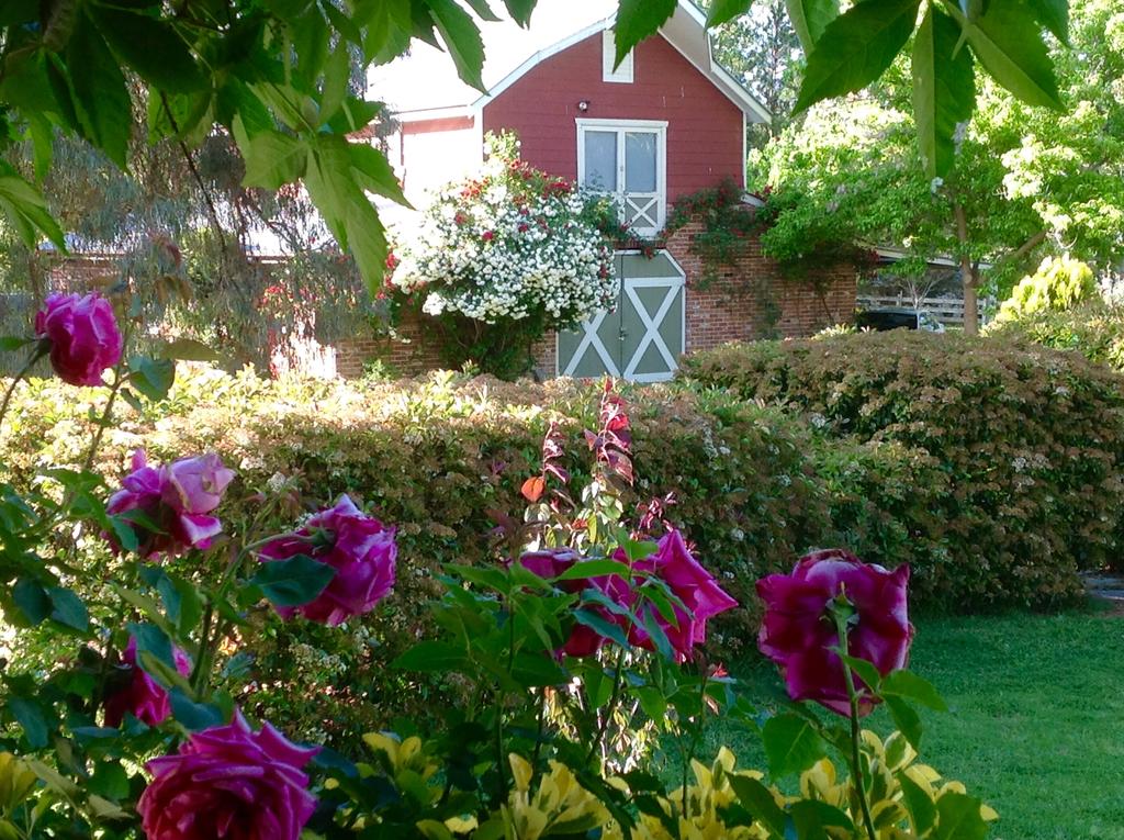 Mount Rankin NSW Darwin Holiday