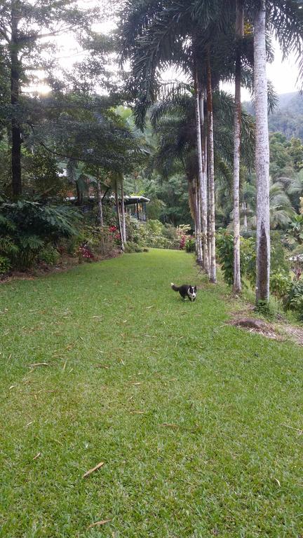 A Daintree Garden - Darwin Holiday 1