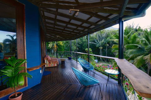 A Daintree Garden - Darwin Holiday 2