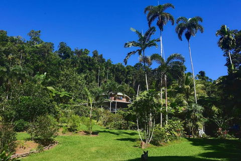 A Daintree Garden - Darwin Holiday 0