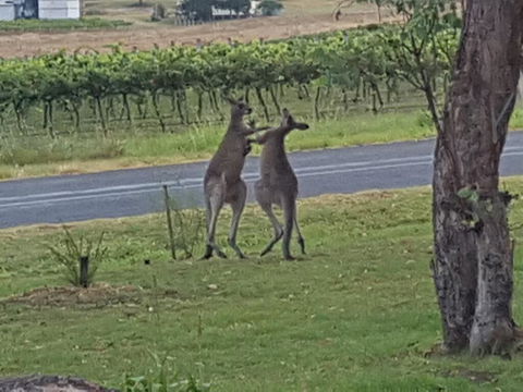A Stanthorpe Getaway - Darwin Holiday 3