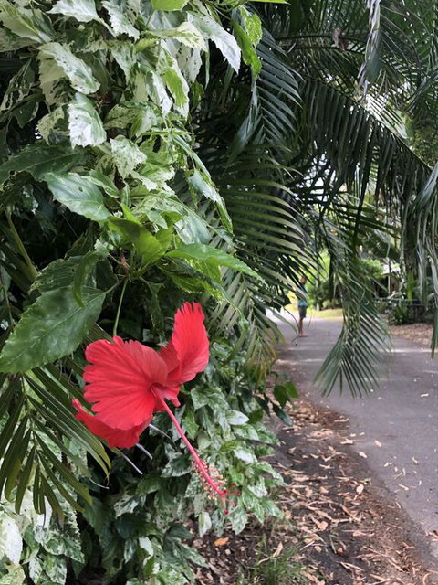 Absolute Beach Frontage, Family Friendly, Home Away From Home - Darwin Holiday 1