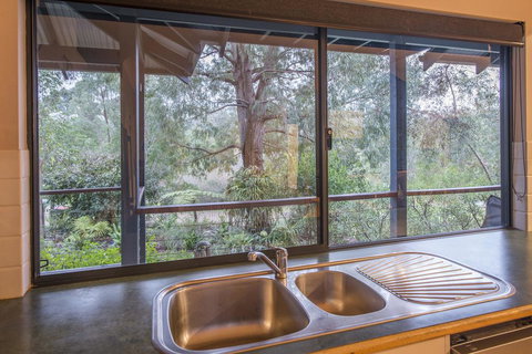 Abundance - Darwin Holiday 3