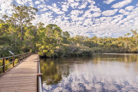 Abundance - Darwin Holiday 0