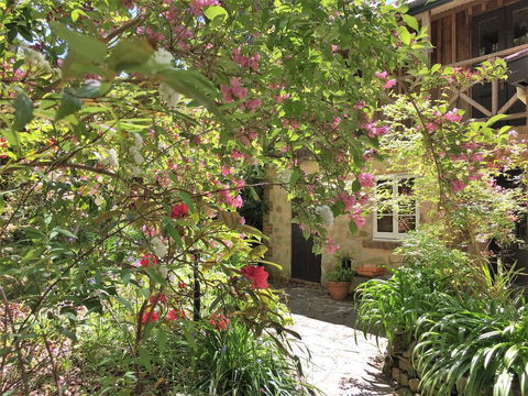 Adelaide Hills 'Camellia Cottage' - WiFi - Darwin Holiday 2