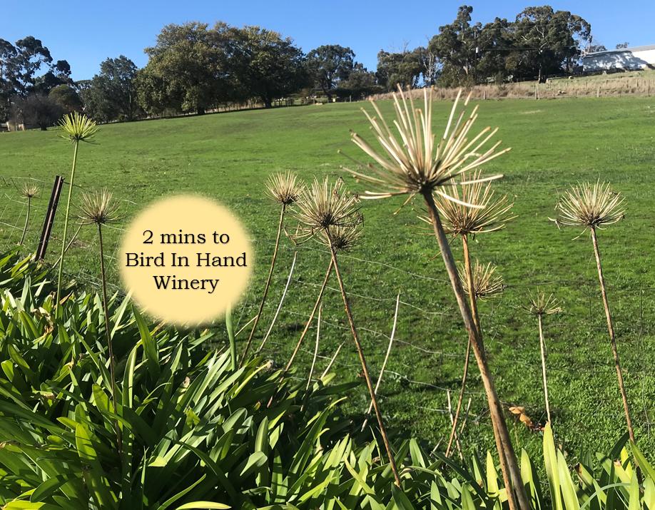 Charleston SA Darwin Holiday