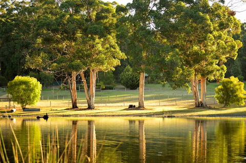 Diamond Forest Farm Stay - Darwin Holiday 3
