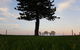 Direct Beachfront Sunrise Apartment - The Coachhouse - thumb 1