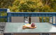 Dolphin Dreaming 16 Dolphin Avenue - thumb 1