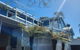 Dolphinview - thumb 0