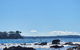 Dolphinview - thumb 3