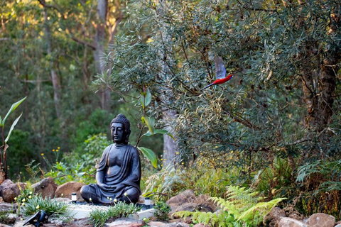 Dorrigo Bush Pepper Retreat - Darwin Holiday 4