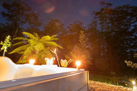 Dorrigo Bush Pepper Retreat - Darwin Holiday 2