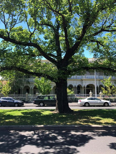 East Melbourne City Studio - Amazing Location & Sunny Charm - Darwin Holiday 3