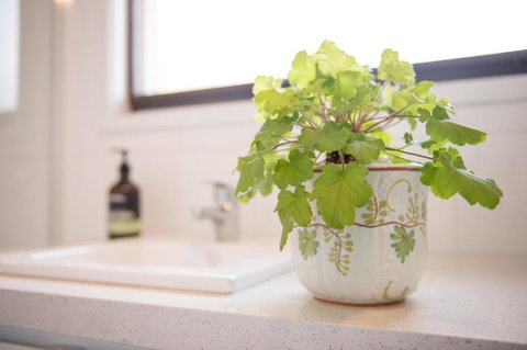 Easy Elva - Darwin Holiday 4