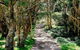 Eco Cottage Alpine Southern Highlands - thumb 4