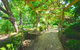 Eden Yarra Valley: A Garden Oasis For Large Groups - thumb 2