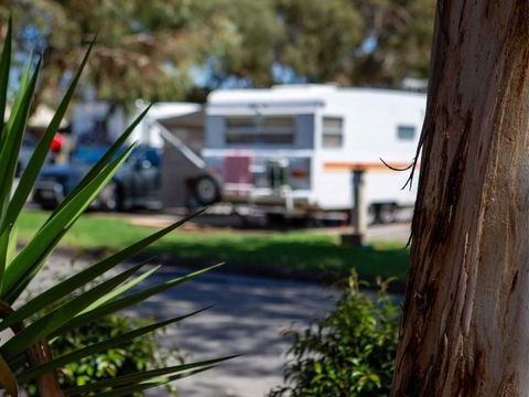Echo Holiday Parks - Windsor Gardens - Darwin Holiday 4