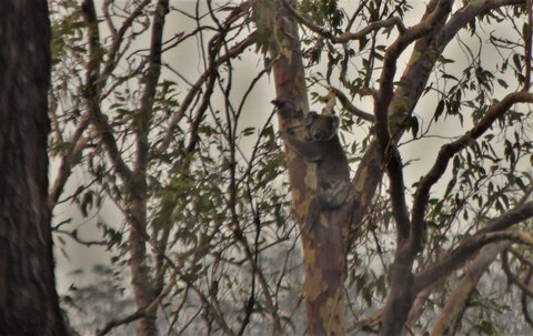 Emu Creek Retreat - Darwin Holiday 3