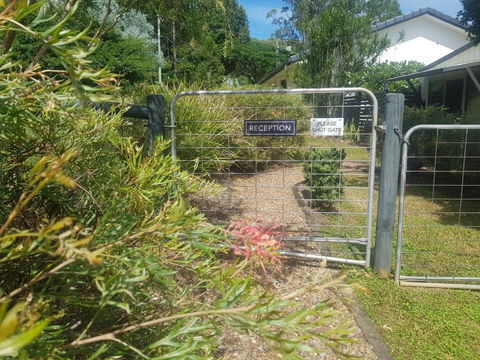 Eumundi Cottages - Cottage 1 - Darwin Holiday 1