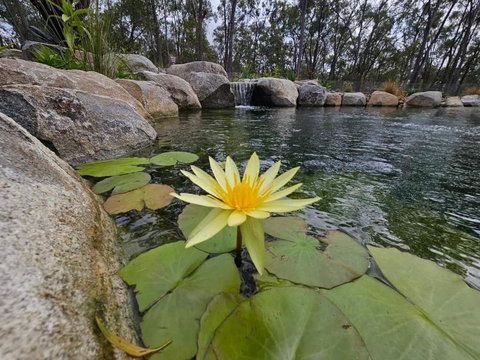 Eureka Station Camping Retreat - Darwin Holiday 4