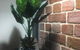 Executive Villa, Private 2 Bedroom In Ideal Location - thumb 1
