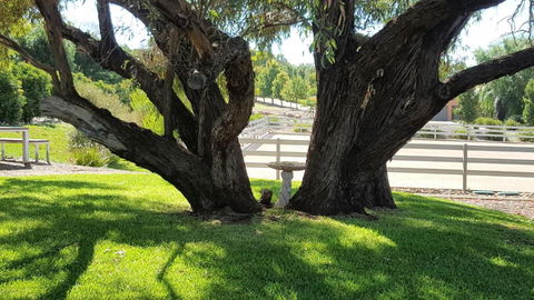 Equestrian Farm Stay - Darwin Holiday 0