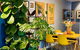 Extraordinary Holiday Stay For Melbourne Explore - thumb 1